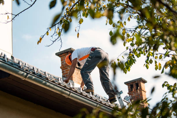 Best Roof Maintenance Services  in Menahga, MN